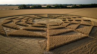 ground of Barbury Castle from ccc