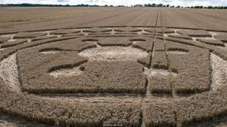 ground of Roundway Hill from ccc