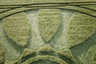 ground of Barbury Castle from ccc
