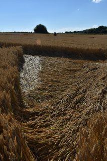 ground of Cley Hill from ccc