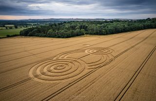 aerial of Tawesmead Copse