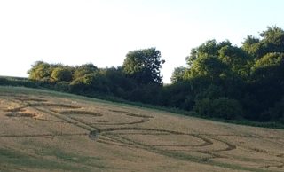 ground of Roydon from ccc