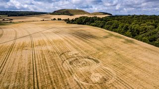 aerial of Norridge Wood from ccc