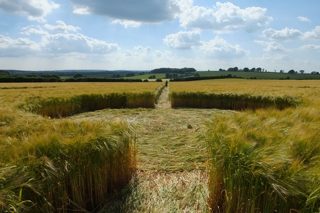 ground of Badbury Rings from ccc
