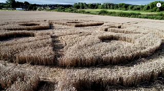 ground of Sandal Castle from ccc