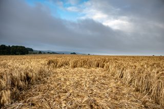 ground of Fonthill Bishop from ccc
