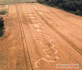 aerial of Roydon from ccc