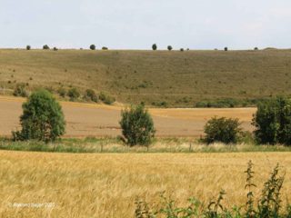 ground of Heytesbury from ccc