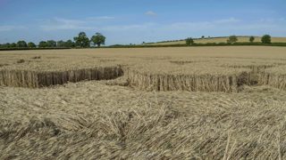 ground of Barton Stacy from ccc