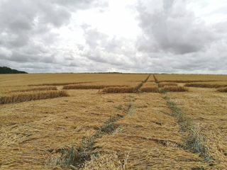 ground of Hackpen Hill from ccc