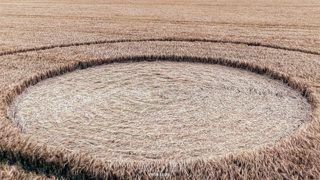 ground of Avebury Stone Circle from ccc