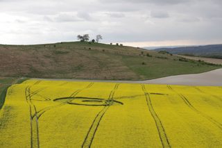 ground of Cherhill from ccc