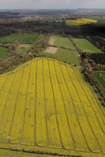 aerial of Brimslade