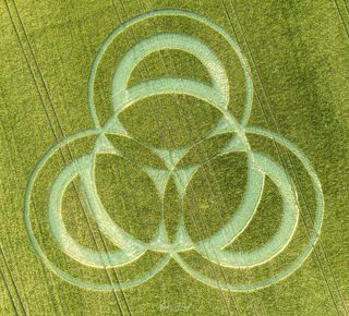 aerial of Long Wood