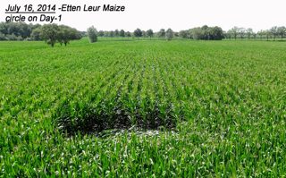 aerial of Etten-Leur
