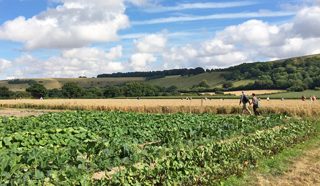 ground of Ansty from ccc