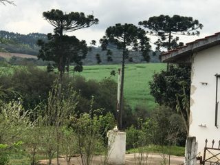 ground of Prudentópolis from ccc