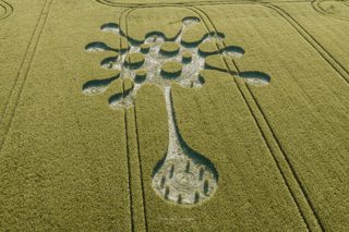 aerial of Potterne