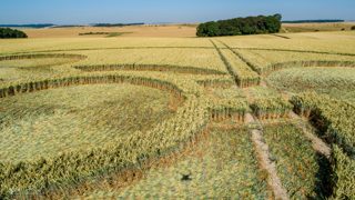 ground of Coneybury Hill from ccc