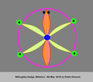diagram of Willoughby Hedge from ccc