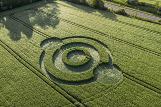 aerial of Norridge Wood