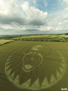aerial of Figsbury Rings