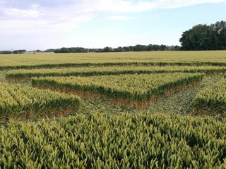 ground of Sutton Hall from ccc