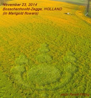aerial of Bosschenhoofd-Zegge from ccc