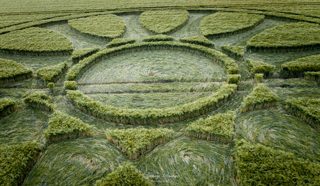 ground of Barbury Castle from ccc