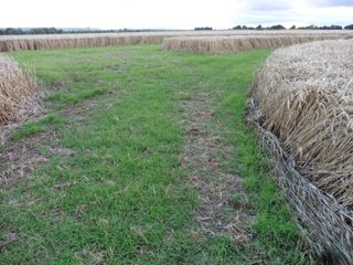 ground of Stanton St. Bernard from ccc