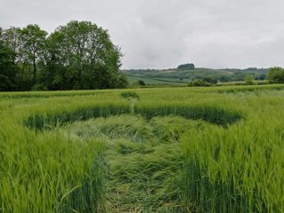 ground of Cerne Abbas from ccc