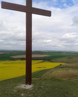 ground of Cherhill from ccc