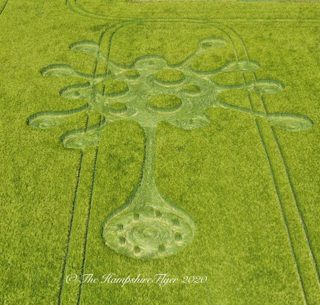 aerial of Potterne from ccc