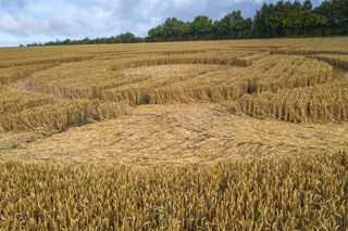 ground of Yarnbury Castle from ccc