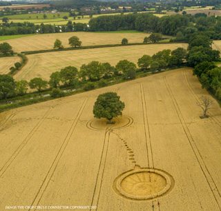 aerial of Wotton Wawen