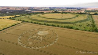 aerial of Figsbury Rings from ccc