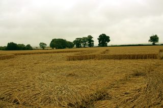 ground of Stratford-upon-Avon from ccc
