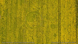 aerial of Tarlton Down from ccc