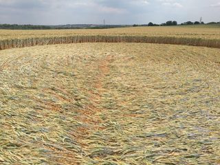 ground of Coneybury Hill from ccc