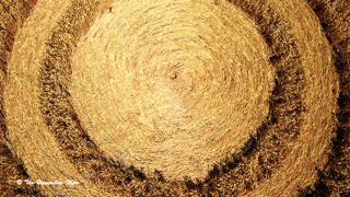 aerial of Gurston Ashes from ccc