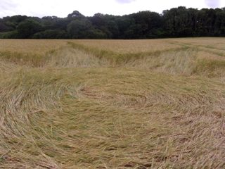 ground of Tichborne from ccc