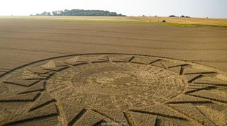 ground of Roundway Hill from ccc