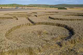 ground of Stanton St Bernard from ccc