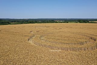 ground of Pepperbox Hill from ccc