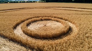 ground of Gurston Ashes from ccc