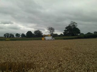 ground of Highworth from ccc