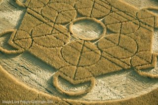 aerial of Nursteed from ccc