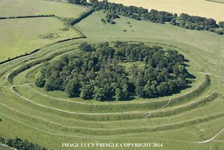 aerial of Badbury Rings from ccc