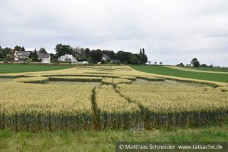 ground of Blaesheim from ccc