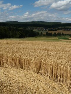ground of Jihlava from ccc